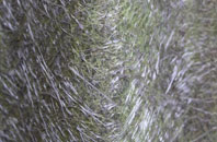 West Deeping fibreglass roof work